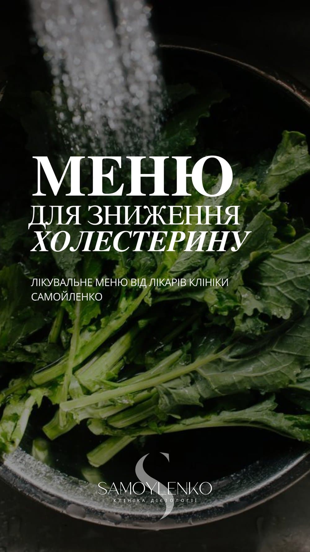 Меню для зниження холестерину — Приклад сторінок — фото 1 з 4