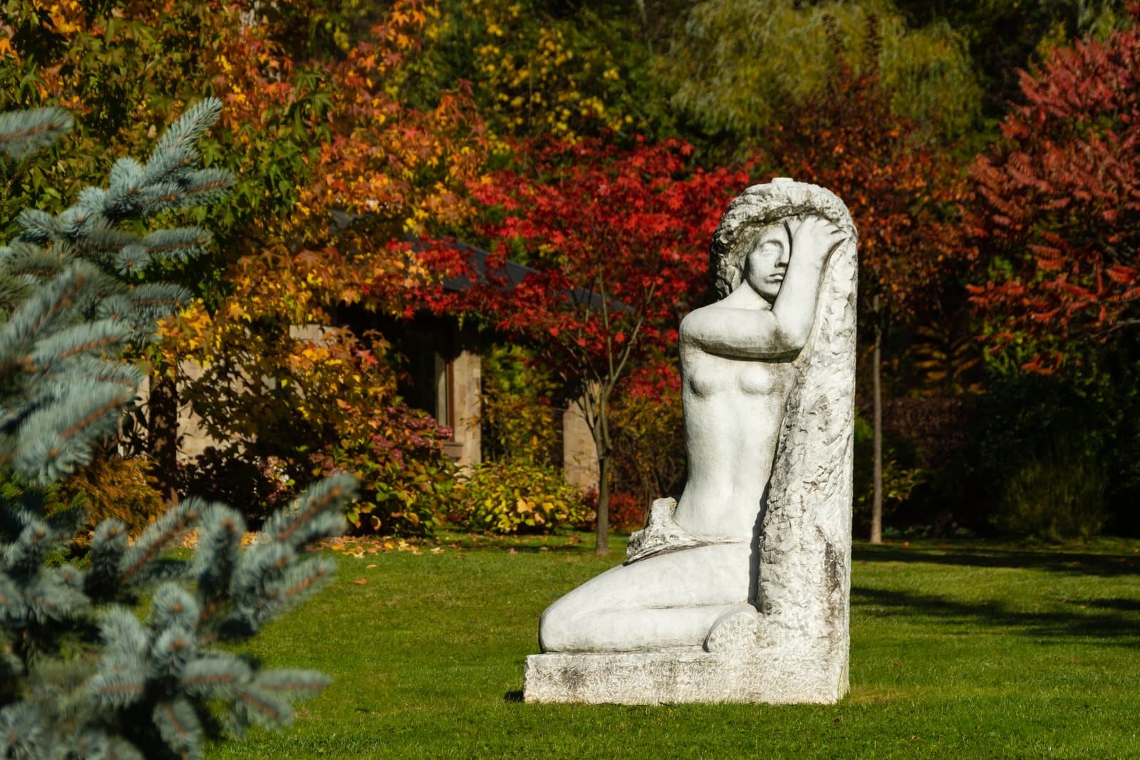 Sculpture in the park